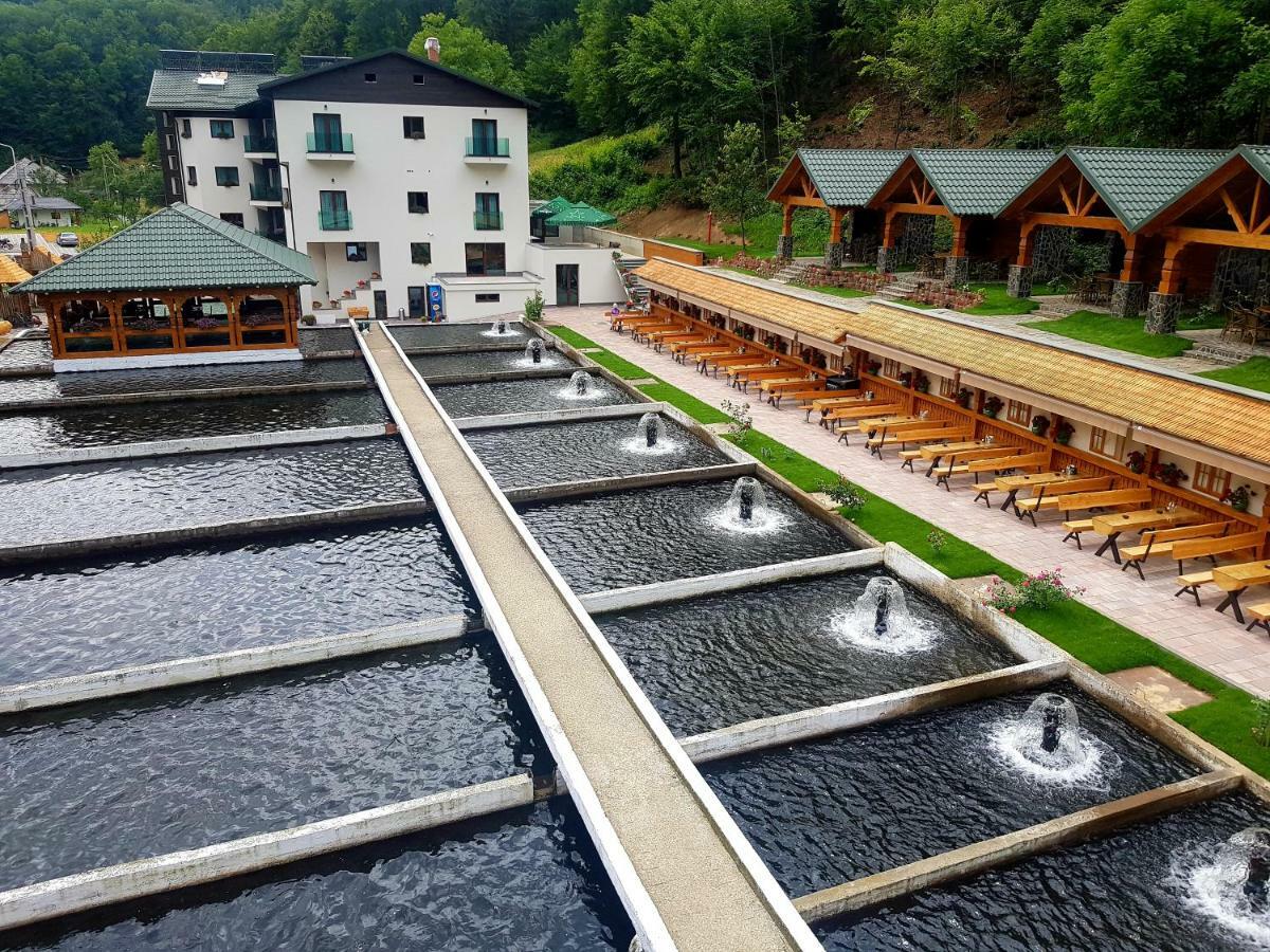 Lostrita - Pastravarie, Hotel & Spa Baia Mare Exteriör bild